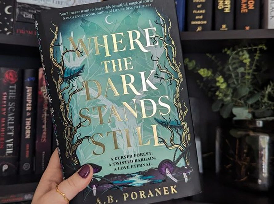 Where The Dark Stands Still